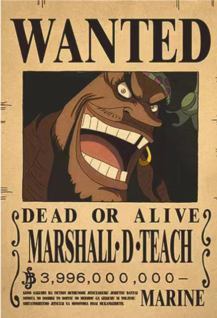 One Piece Wanted Posters